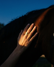 EQUESTRIAN ART RING