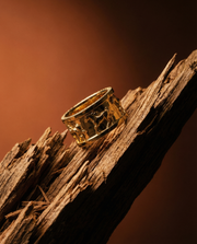 EQUESTRIAN ART RING